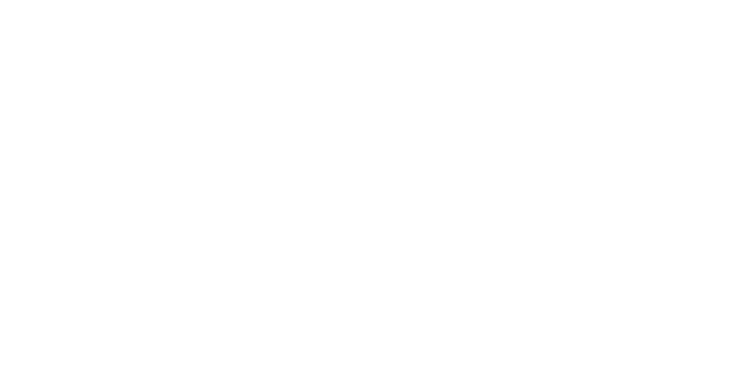 SANSIL Logo
